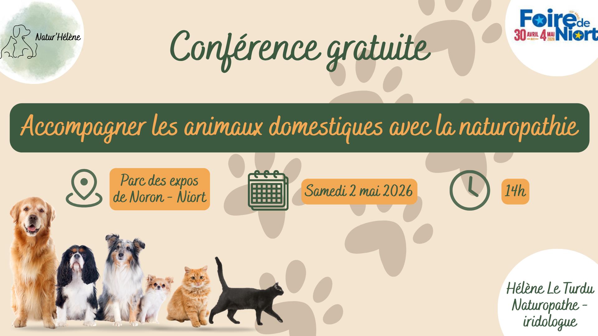 Ateliers collectifs art-thérapie pour adolescents